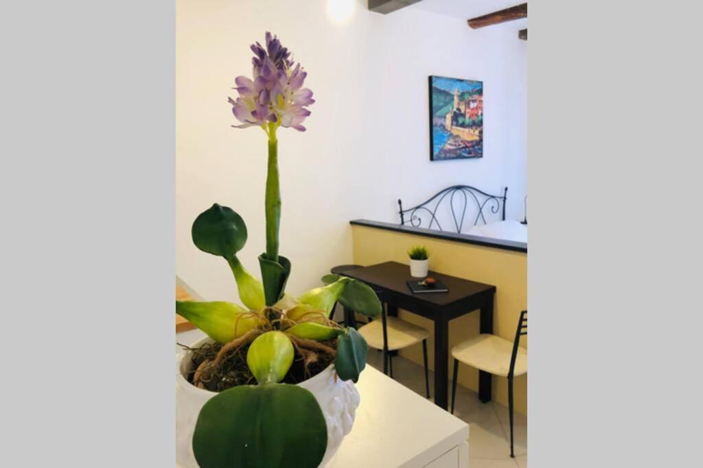 La Gianchina Di Vernazza - Central Cozy Apt Wi-Fi Екстериор снимка